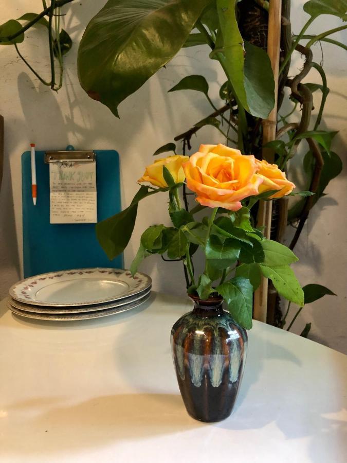 Simple & Cozy Hanoi Homestay Eksteriør billede